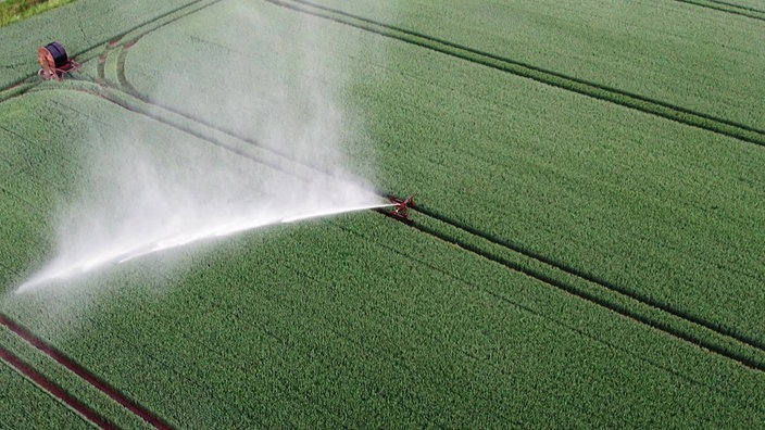 Bewässerte Landwirtschaftsfläche