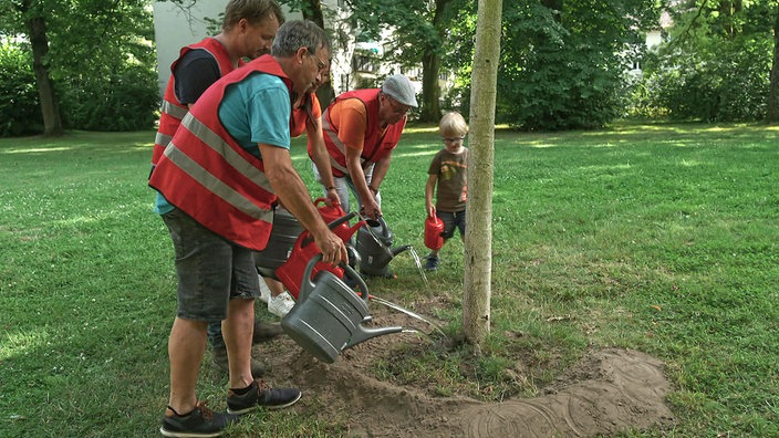 Eine Gruppe bewässert einen Baum