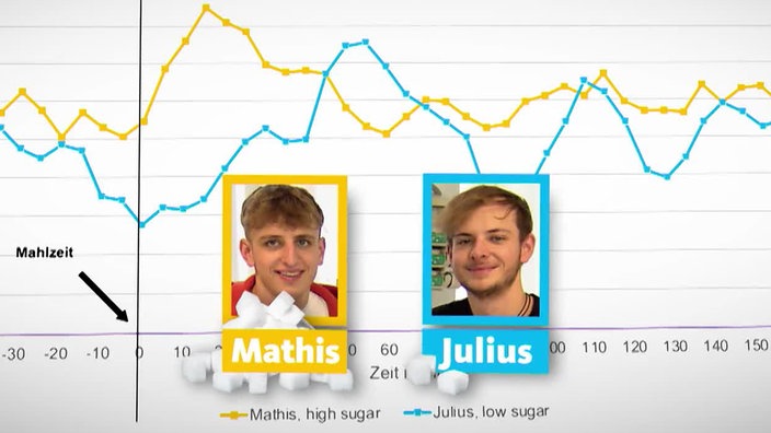 Grafik: Zuckerwerte der Brüder Julius und Mathis