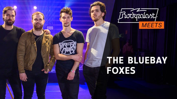 The Bluebay Foxes