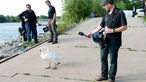 Das Reporter-Team beobachtet eine Ente am Festival-Gelände, welche wohl aus dem umliegenden "Fühlinger See" gekommen ist
