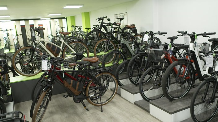Auf dem Bild sieht man eine Auswahl von E-Bikes.