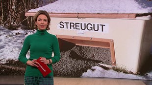 Das Bild zeigt Anna Planken im Servicezeit-Fernsehstudio.