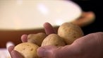 Aufnahme von einer Hand mit drei ungeschälten Kartoffeln