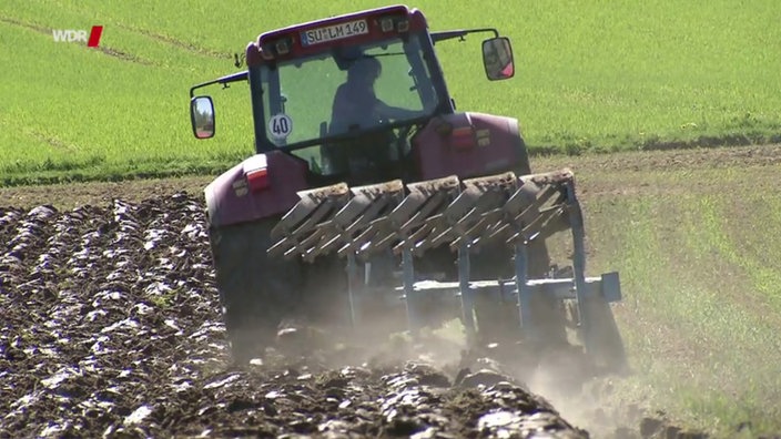 Geliebter Mistjob Die Neue Lust Auf Landwirtschaft 1 2 7 Sendungen A Z Video Mediathek Wdr