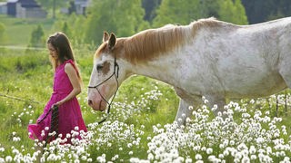 Ein Mädchen im rosa Kleid führt ein braun-weißes Pferd durch eine Blumenwiese