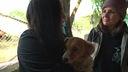 Hund aus der Ukraine gerettet