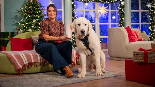 Moderatorin Simone Sombecki mit einem großen weißen Hund im Studio