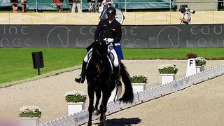 Eine Reiterin mit ihrem dunkelbraunen Pferd bei einem Wettbewerb