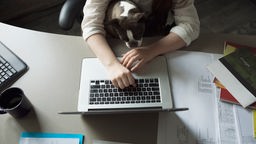 Hund mit Frauchen am Computer