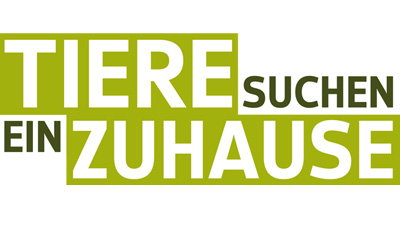 Die Tiere Aus Allen Sendungen Alle Tiere Tiere Suchen Ein Zuhause Fernsehen Wdr
