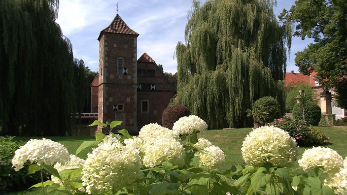Der Garten von Burg Hülshoff mit Hortensien.
