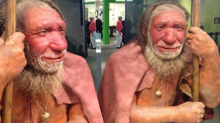 Neanderthaler im Museum