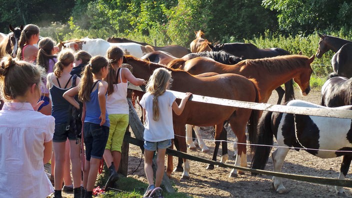 Junge Mädchen vor einer Koppel mit Pferden