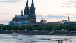 Ruderer auf dem Rhein bei Köln