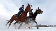 Pferde und Reiter im Schnee.