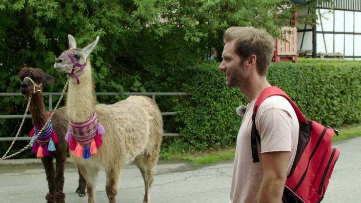 Daniel Aßmann steht vor einem Lama und einem Alpaka