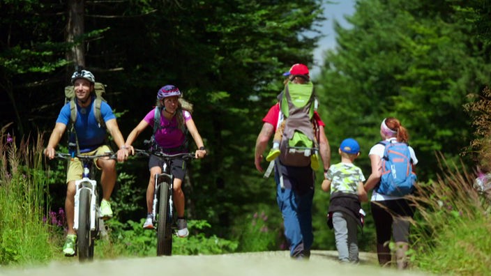 Mountainbiker und Wanderer auf einem Waldweg