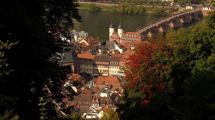 Blick auf Heidelberg mit Neckar und Brücke