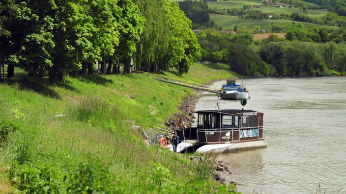 Kleine Fähre an einem Anlegesteg am bewaldeten Donauufer
