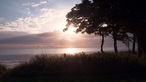 Blick von der Küste mit mehreren Bäumen auf die Ostsee, über der die Sonne aufgeht