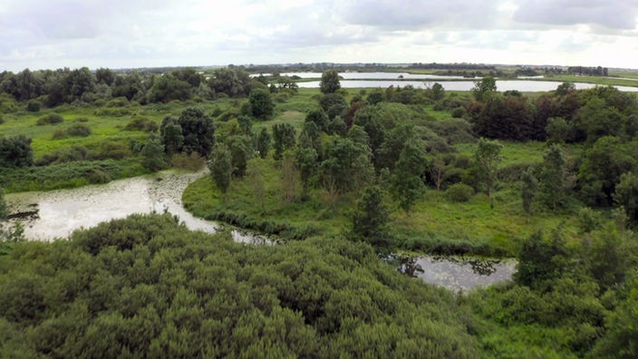 Der Nationalpark De Alde Feanen ist ein Hochmoor mit Wasserflächen, Wäldern und Weidelandschaften