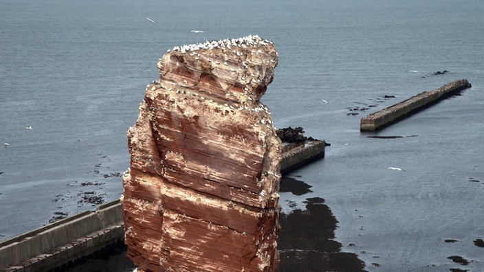 Die Lange Anna, ein freistehender roter Felsen, ist das Wahrzeichen von Helgoland