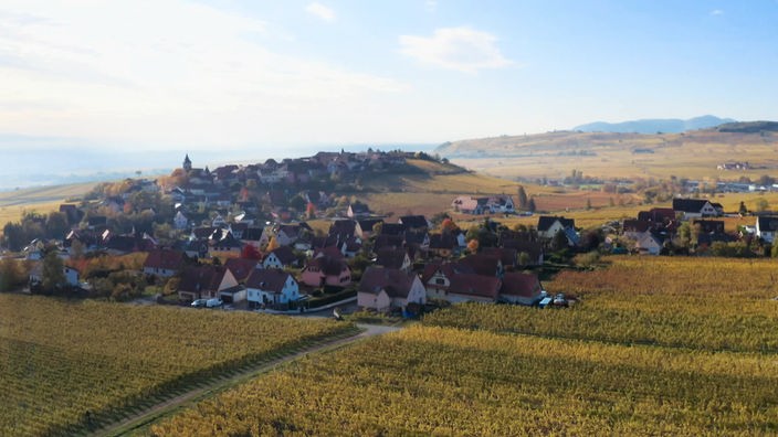 Ländliches Dorf auf einem Hügel inmitten von Weinfeldern