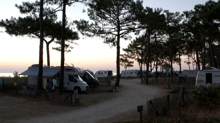 Abendstimmung am Campingplatz mit Wohnmobilen unter Kiefern