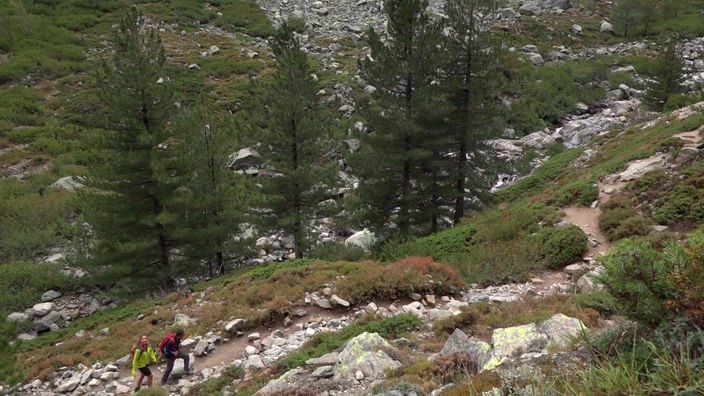 Tamina Kallert und ein Wanderführer auf einem Wanderweg im Gebirge entlang einer Reihe Schwarzkiefern