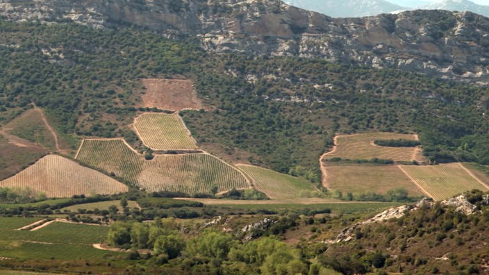 Bergmassiv, an dessen unteren Hängen Wein angebaut wird