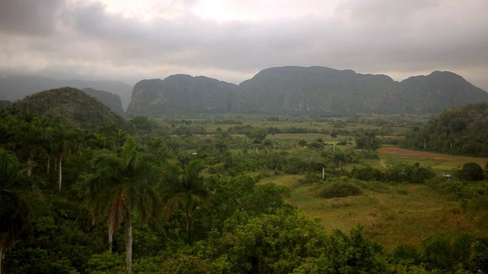 Blick über Palmen auf baumbestandene Ebene, im Hintergrund ein Felsmassiv