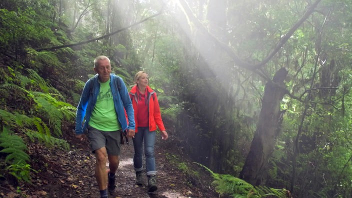Tamina Kallert und Chris Eihusen wandern im Regenwald