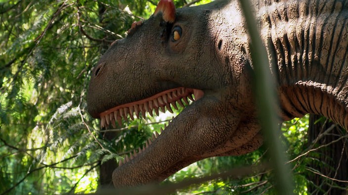 Nachgebildeter Kopf eines Dinosauriers in einem Wald