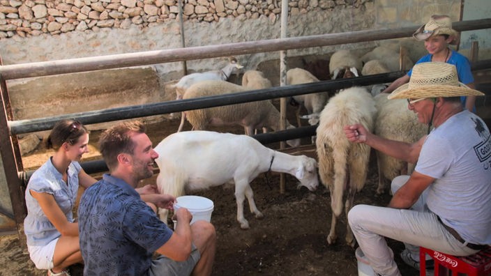 Daniel Aßmann und eine Familie in einem Gehege mit Ziegen und Schafen