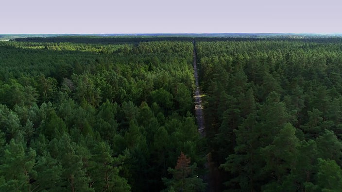 Luftaufnahme der Johannisburger Heide, ein riesiges Waldgebiet