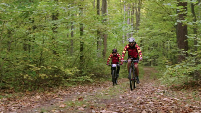 Zwei Mountainbiker auf einem Waldweg