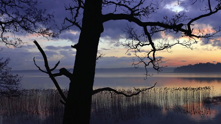 Malerische Aufnahme eines Sees im Sonnenaufgang und mit einem Baumstamm im Vordergrund