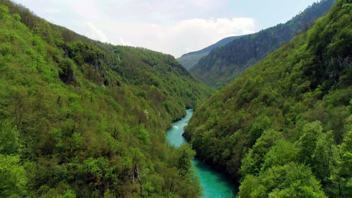 Bewaldete Schlucht mit einem türkisfarbenen Fluss