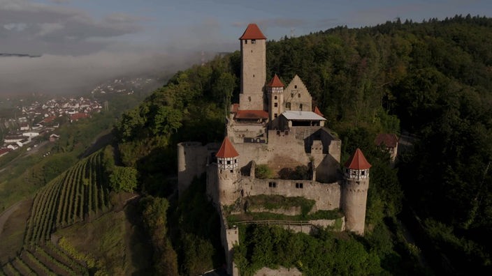 Burg Hornberg auf einem bewaldeten Hügel