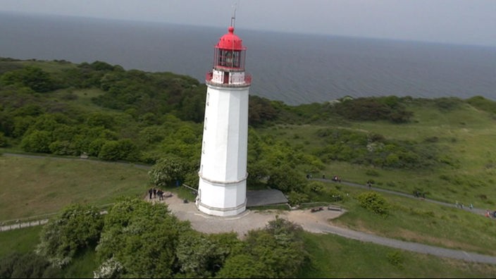 Weißer Leuchtturm mit rotem Helm inmitten einer bewaldeten Küstenlandschaft
