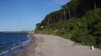 Ostseeküste mit langem Sandstrand und Bäumen