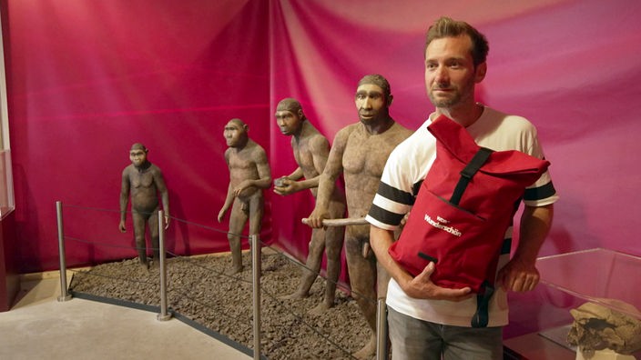 Daniel Aßmann mit rotem Rucksack steht neben Modellen menschlicher Vorfahren