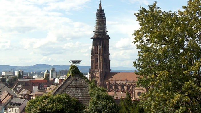 Blick auf die Stadt mit dem Turm der Münsterkirche