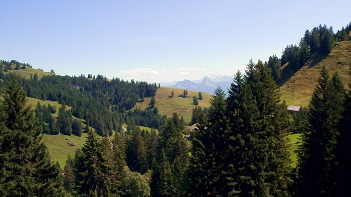 Bewaldete Berglandschaft