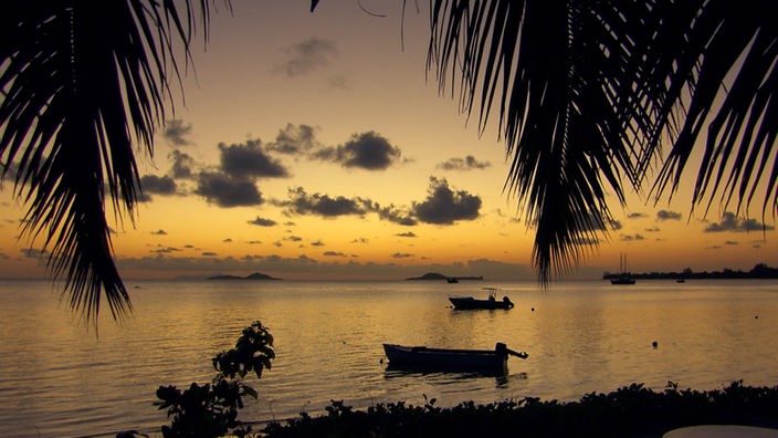Sonnenuntergang am Meer, im Vordergrund Palmwedel