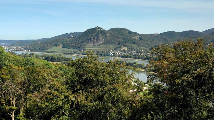 Blick von einem Hügel über Buschwerk auf den Rhein und das Siebengebirge