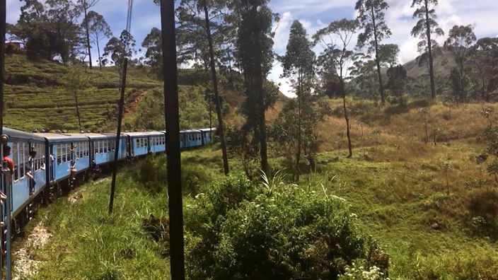 Zug mit hellblauen Waggons fährt durch hügelige Landschaft mit einzelnen Bäumen