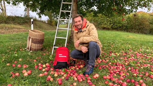 Daniel Aßmann bei der Apfelernte auf einer Streuobstwiese
