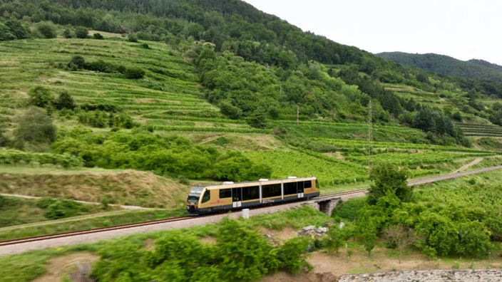 Bahnlinie  mit Zug, dahinter ein Weinberg